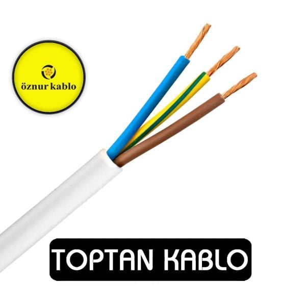 Öznur Kablo 3x2,5 mm TTR H05VV-F NYMHY 300/500 V