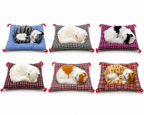 Yastıkta Uyuyan Kedi Sesli Alk25