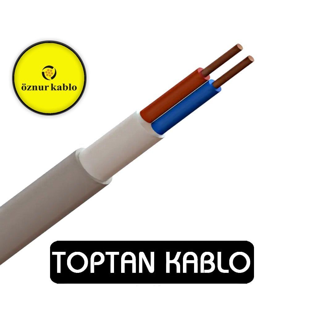 Öznur Kablo 2x4 mm Antigron NVV (NYM) 300/500 V 1 Metre