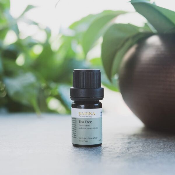 Çay Ağacı Uçucu Yağı, Organik 5 ml