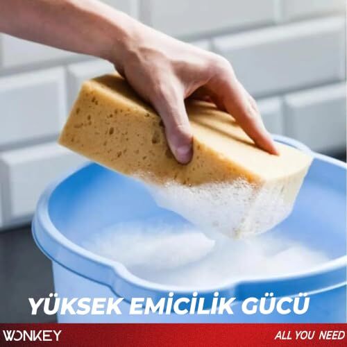 Doğal Oto Yıkama Süngeri, Delikli Araba Temizleme ve Araç Köpükleme Süngeri, 18x12x6 cm, 1 Adet