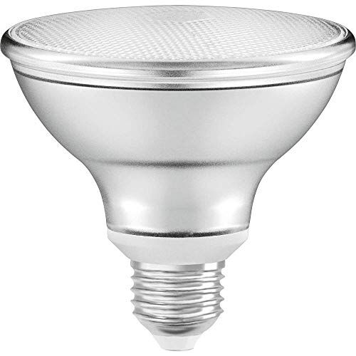 PAR30 Dım 10 W 2700K Warm Whıte Işık E-27 LED Ampul