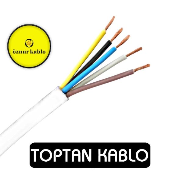 Öznur Kablo 5x25 mm TTR H05VV-F NYMHY 300/500 V 1 Metre