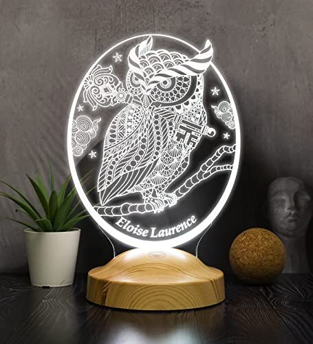 Baykuş Tasarımlı Kişiye Özel 3D LED Gece Lambası – Dekoratif Masa Lambası