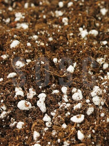 Substrat Lıght Mıx İthal Sphagnum Torfu Cocopeat Perlit Özel Karışım Saksı Harcı Çiçek ve Bitki Toprağı 5 L