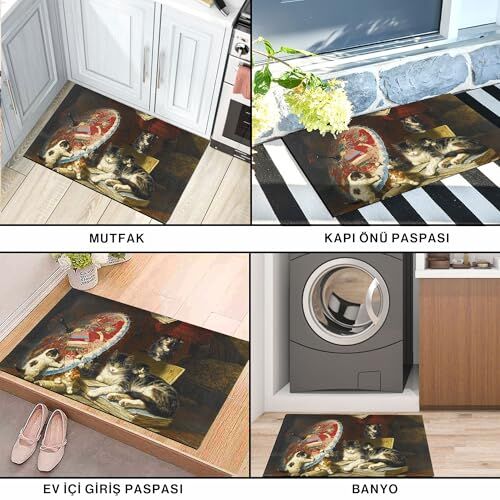 Sanat ve Kediler Desenli Kapı Önü Paspası, Ev, Ofis ve Dış Mekân Kullanımı, 45x65