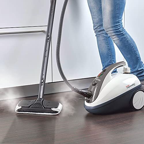 Vaporetto Smart 30 S 3 Bar Buharlı Temizleyici, Gri